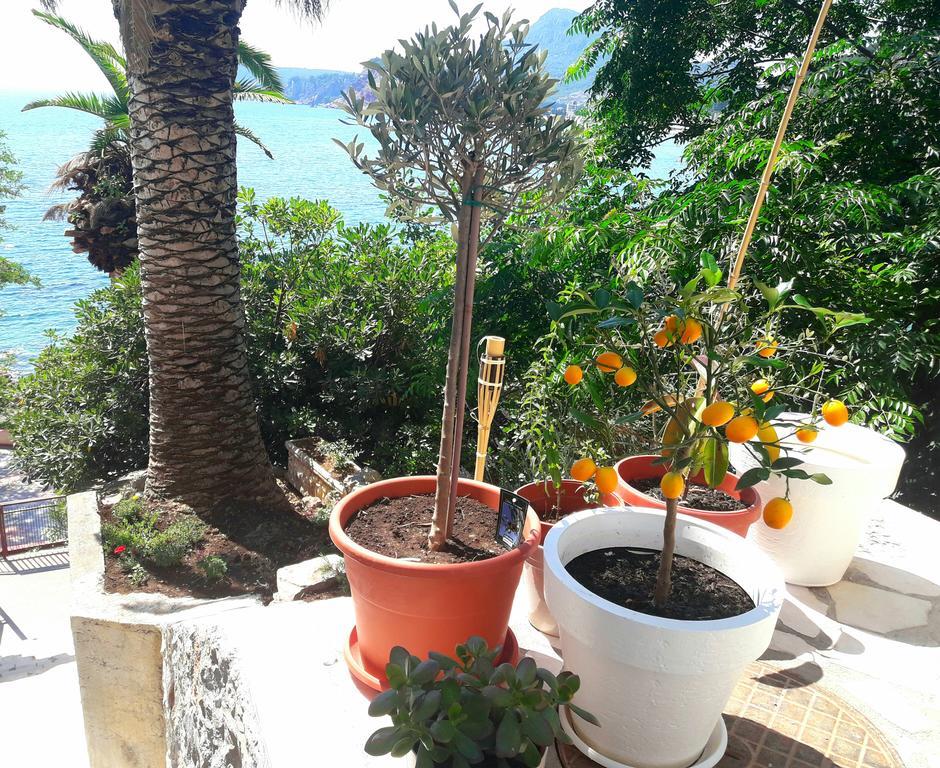 Two Palms Apartment Sutomore Dış mekan fotoğraf
